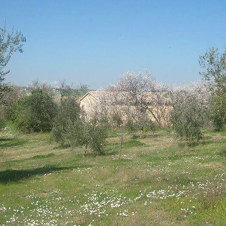 I Tre Filari-3